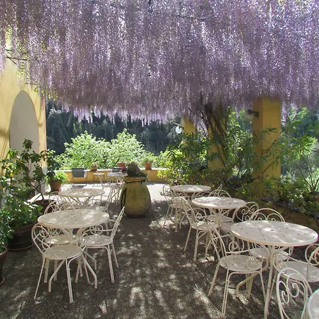 Villanova - Nature & Wellness-3